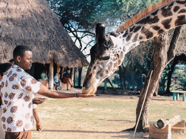 East Africa E-Visa
